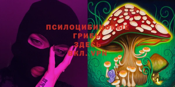 меф Осинники