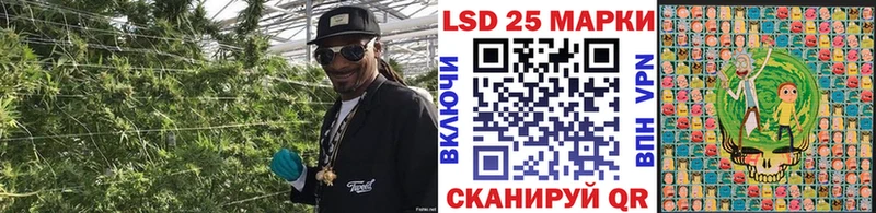 где купить наркотик  Химки  нарко площадка состав  Марки N-bome 1500мкг  blacksprut как войти 