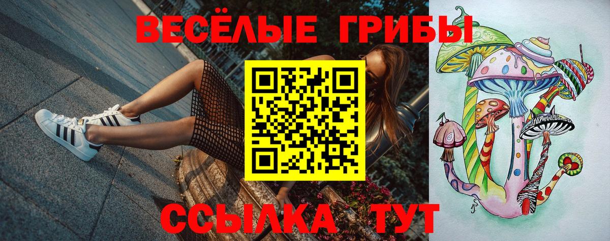 Химки  Псилоцибиновые грибы Psilocybine cubensis  Вход с VPN 